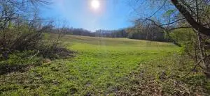 917 Country Rd, Summersville, WV 26651