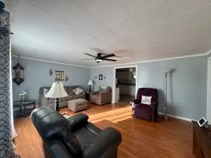 212 Olive Branch, Nettie, WV 26681 - #2