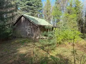 144 Pineywood Rd, Renick, WV 24966 - #2