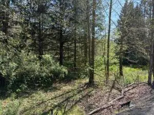 Rt. 39, Summersville, WV 26651 - #1