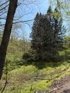 Rt. 39, Summersville, WV 26651 - #2