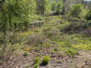 Rt. 39, Summersville, WV 26651 - #3