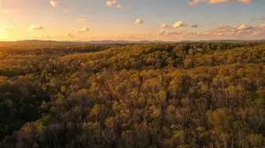 Augustus, Fayetteville, WV 25840