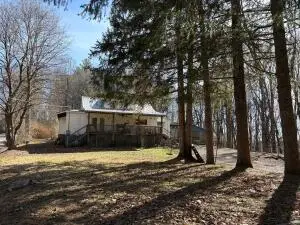 480 Schindel, Craigsville, WV 26205 - #3