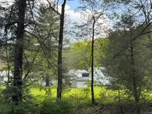 60 Crawford, Leivasy, WV 26676 - #2