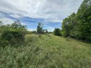 River Ridge, Mount Nebo, WV 26679 - #2