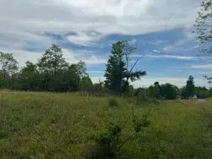 River Ridge, Mount Nebo, WV 26679 - #3