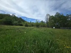 Cemetery Road, Charmco, WV 25958 - #1