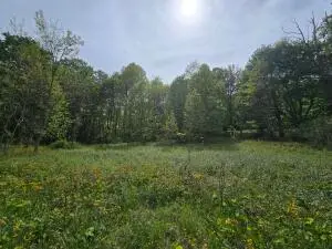 Cemetery Road, Charmco, WV 25958 - #2