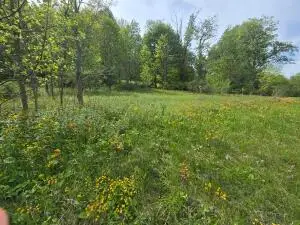 Cemetery Road, Charmco, WV 25958 - #3