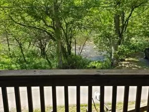 518 Elk River, Webster Springs, WV 26288 - #3