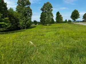 51 Sunset Ridge Ln, Mt. Nebo, WV 26679
