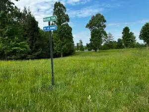 51 Sunset Ridge Ln, Mount Nebo, WV 26679 - #2