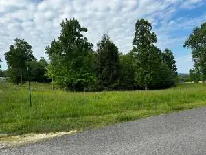 51 Sunset Ridge Ln, Mount Nebo, WV 26679 - #3