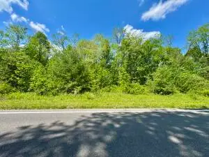 Richwood, Richwood, WV 26261 - #1