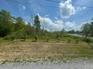 20 Sioux St, Craigsville, WV 26205