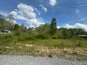 20 Sioux St, Craigsville, WV 26205 - #3