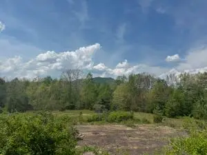 Apache, Craigsville, WV 26205 - #1