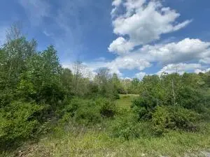 Apache, Craigsville, WV 26205 - #2
