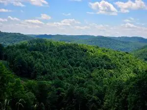 1785 Odell Town, Nettie, WV 26681 - #2