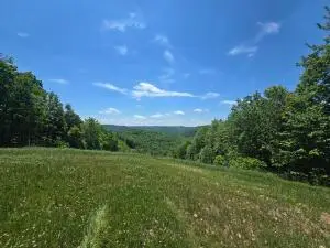 1785 Odell Town, Nettie, WV 26681 - #3