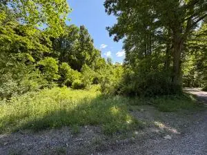 Callahan Rd, Craigsville, WV 26205 - #1