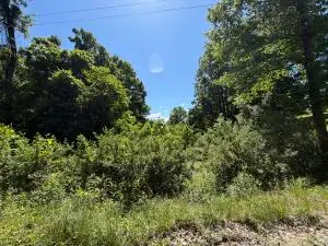 Callahan Rd, Craigsville, WV 26205 - #2