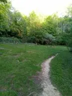 4336 Grassy Creek Rd, Leivasy, WV 26676 - #3