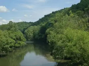 Strange Creek Rd, Duck, WV 25063 - #1