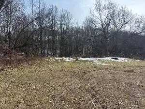 1223 Craigsville Rd, Craigsville, WV 26205 - #2