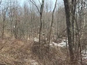 1223 Craigsville Rd, Craigsville, WV 26205 - #3