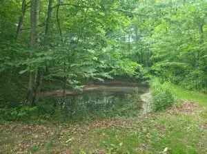 455 Jettsville, Fenwick, WV 26202 - #1