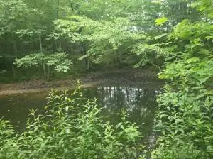 455 Jettsville, Fenwick, WV 26202 - #2