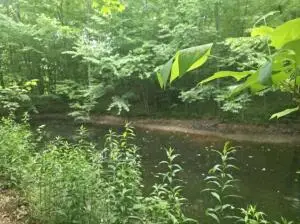 455 Jettsville, Fenwick, WV 26202 - #3