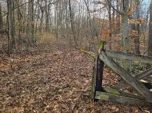 Collinwood Dr, Oak Hill, WV 25901 - #2