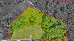 17 Downey Ridge, Ansted, WV 25812 - #1