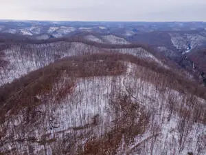 Shady Brk Ln, Lizemores, WV 00000 - #2