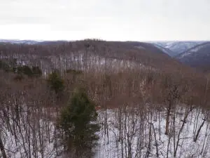 Shady Brk Ln, Lizemores, WV 00000 - #3