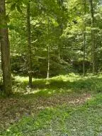 Heritage Farm Road, Grant, WV 24701 - #1
