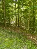 Heritage Farm Road, Grant, WV 24701 - #2