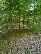 Heritage Farm Road, Grant, WV 24701 - #3