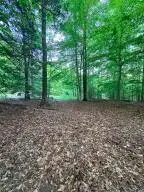 0 Ledgeview Dr, Fayetteville, WV 25840 - #1