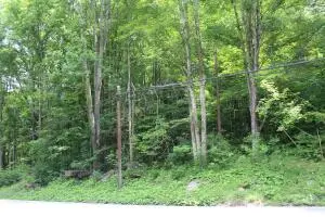 6699 Leivasy, Leivasy, WV 26676 - #1