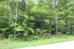 6699 Leivasy, Leivasy, WV 26676 - #3