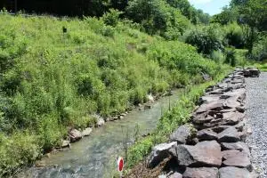 8833 Summersville Lake, Summersville, WV 26651 - #3