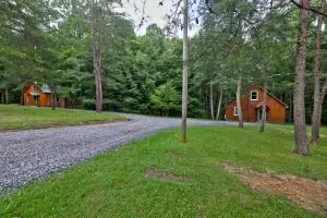 238 Relaxin Ln, Summersville, WV 26651 - #1