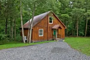 238 Relaxin Ln, Summersville, WV 26651 - #2
