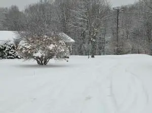 120 Kyle Subdivision Dr, Nettie, WV 26681 - #2