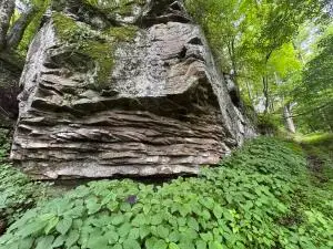 Mccarty St, Richwood, WV 26261 - #2