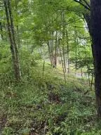 Mccarty St, Richwood, WV 26261 - #3